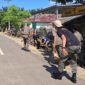 Penertiban dan penegakan Peraturan Daerah (Perda) tentang hewan ternak di Kabupaten Kaur, Rabu (12/11/25). (foto: Fraky Yudiansyahrakyatmerahputih.com/)