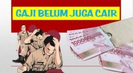 Janji Tinggal Janji! Bidan PTT Seluma Keluhkan Belum Terima Gaji Tiga Bulan Tahun 2024 Belum Dibayar, Apa Kabar? (foto: ilustrasi)