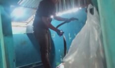 Tragedi Mahasiswa di Kota Bengkulu Meninggal di Hari Ultah , Alarm Pentingnya Kepedulian Kesehatan Mental