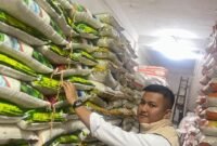 Meski harga beras Bengkulu masih di atas HET, stok dipastikan aman. Polisi dan Bulog siapkan operasi pasar murah demi stabilitas harga.