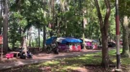 Pemerintah Provinsi Bengkulu mendorong Taman Merah Putih sebagai ruang wisata alam dan UMKM. Revitalisasi ini diharapkan menghidupkan ekonomi warga tanpa merusak lingkungan.