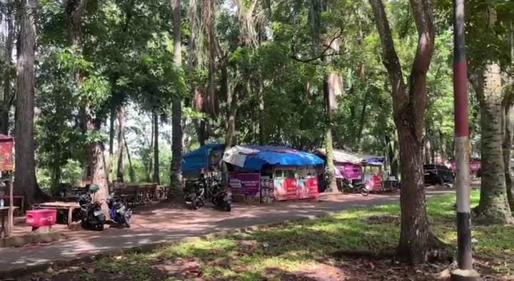 Pemerintah Provinsi Bengkulu mendorong Taman Merah Putih sebagai ruang wisata alam dan UMKM. Revitalisasi ini diharapkan menghidupkan ekonomi warga tanpa merusak lingkungan.