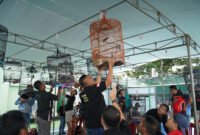 Persaingan ketat dan doorprize menarik warnai Lomba Burung HUT ke-80 Korem 041/Gamas. Ratusan kicau mania meriahkan Makorem Bengkulu.