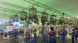 LOMBA: Saat lomba Burung Berkicau Wali Kota Cup digelar dalam rangka memeriahkan Hari Ulang Tahun (HUT) ke-307 Kota Bengkulu, Minggu (12/4/2026)-- FOTO: Handi//MBG.
