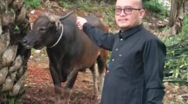 Senior Manager HRD Halim Perdana Kusuma hadir di ketahun pelaksanaan Kurban PT Sandabi Indah Lestari
