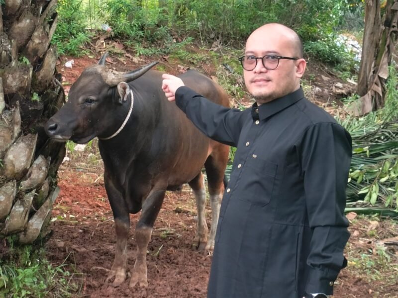 Senior Manager HRD Halim Perdana Kusuma hadir di ketahun pelaksanaan Kurban PT Sandabi Indah Lestari