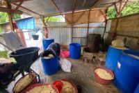Kenaikan harga kedelai hingga Rp850 ribu per karung tidak hanya menekan usaha tempe di Bengkulu, tetapi juga mulai memengaruhi ekonomi keluarga para perajinnya.