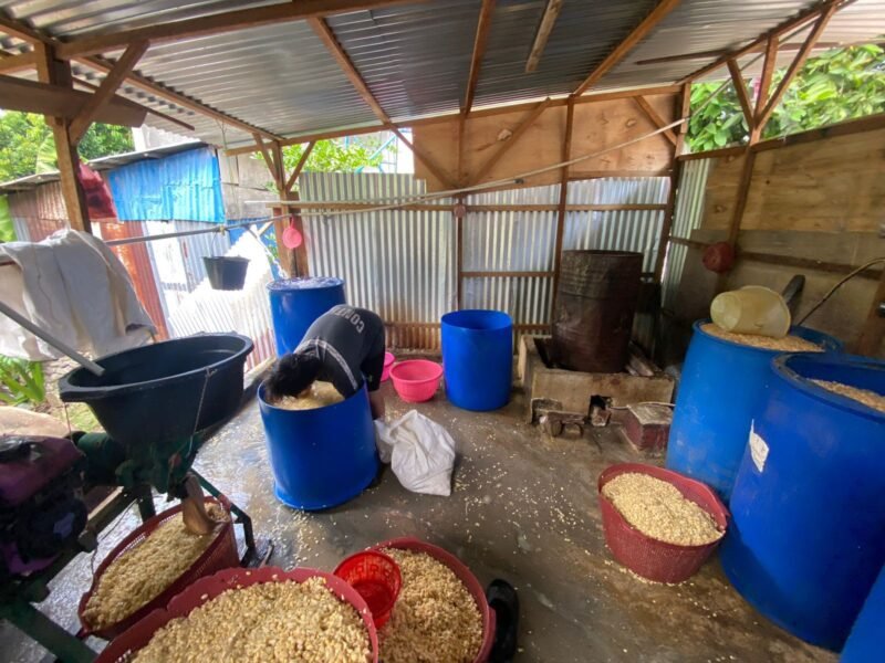 Kenaikan harga kedelai hingga Rp850 ribu per karung tidak hanya menekan usaha tempe di Bengkulu, tetapi juga mulai memengaruhi ekonomi keluarga para perajinnya.